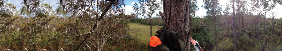 Hunter’s Corner at Stone Hart If you are Looking for Info on Hunting in Florida feel free to contact Stone Hart’s Pro-Staff Hunter, Erik Alexander and ask him any questions you have on hunting in Florida.